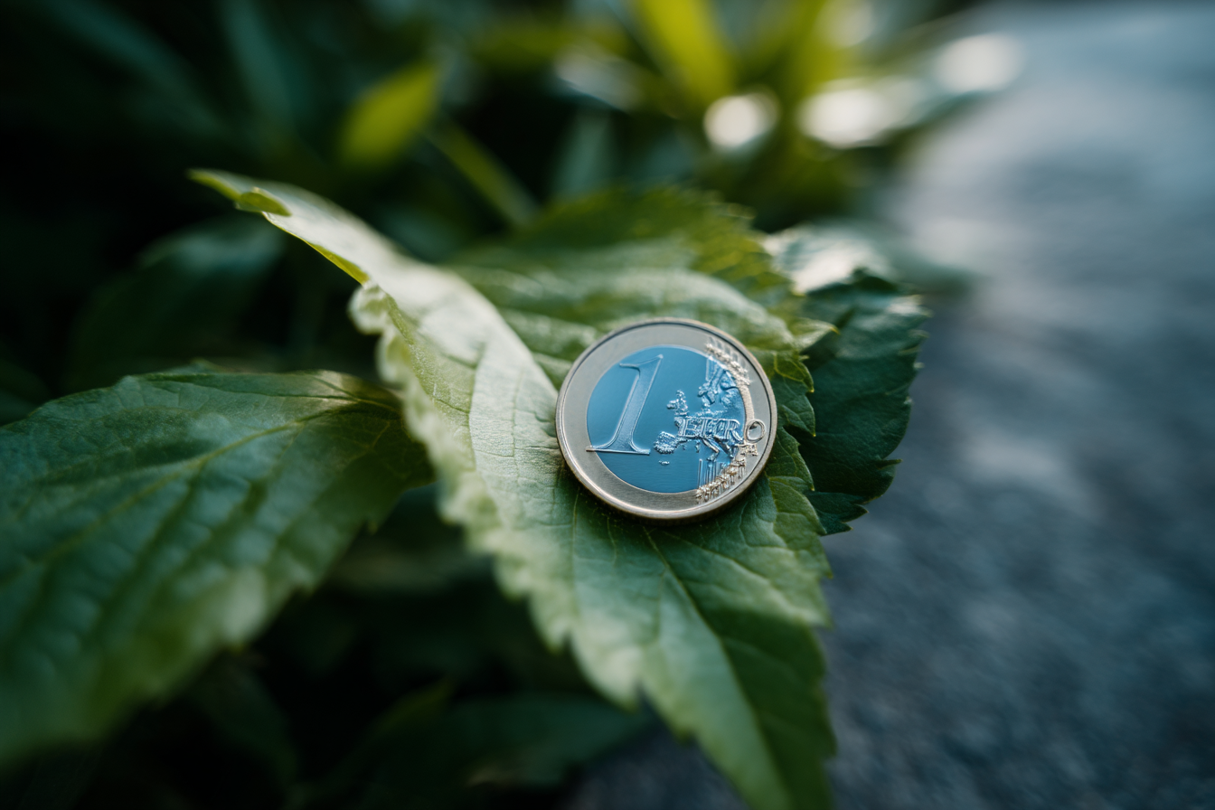 Én-euro-mynt som ligger på grønne blader, symboliserer lavere rente gjennom grønne lån.